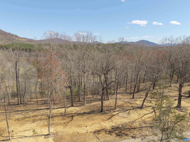LOT3 Rockfish Valley Hwy, Afton, VA 22920