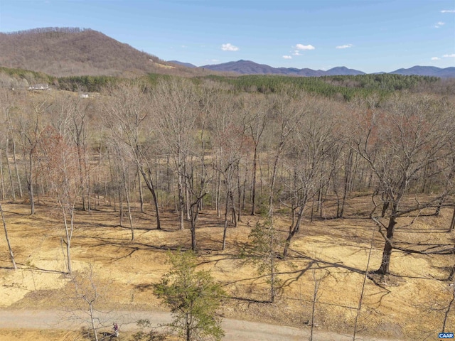 LOT3 Rockfish Valley Hwy, Afton, VA 22920