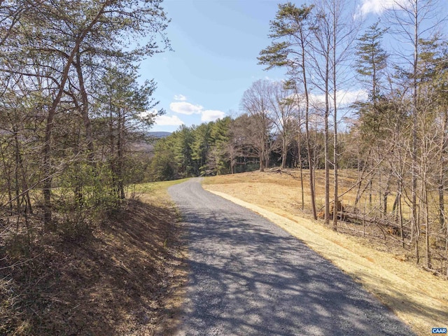 LOT3 Rockfish Valley Hwy, Afton, VA 22920