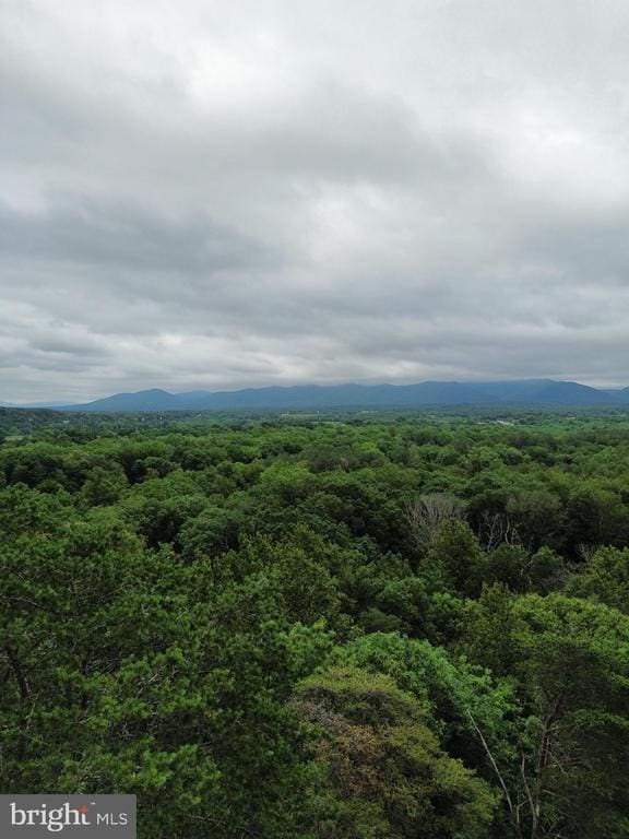 Lookout Dr, Shenandoah, VA 22849