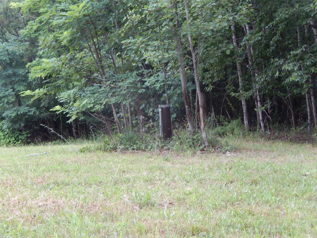 346 Cobblestone Ln, Shenandoah, VA 22849 - photo 2