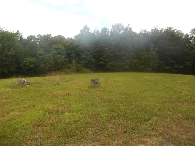 346 Cobblestone Ln, Shenandoah, VA 22849 - photo 1