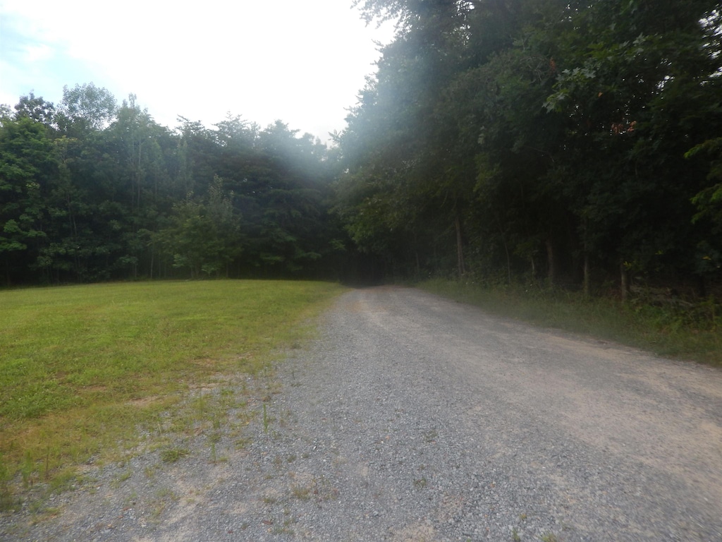 346 Cobblestone Ln, Shenandoah, VA 22849 - photo 4