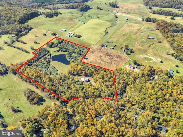275 Seven Ponds Rd, Amissville, VA 20106 - photo 66