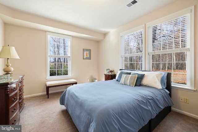 275 Seven Ponds Rd, Amissville, VA 20106 - photo 43