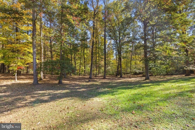 275 Seven Ponds Rd, Amissville, VA 20106 - photo 60