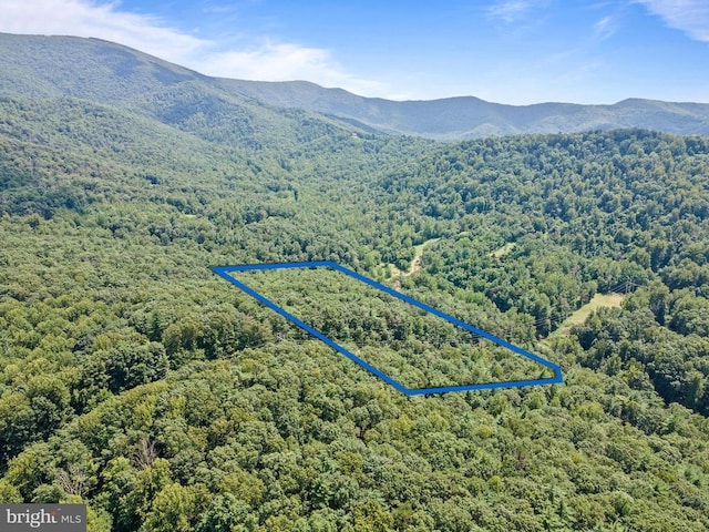 303 Jordan Hollow Rd, Stanley, VA 22851 - photo 2