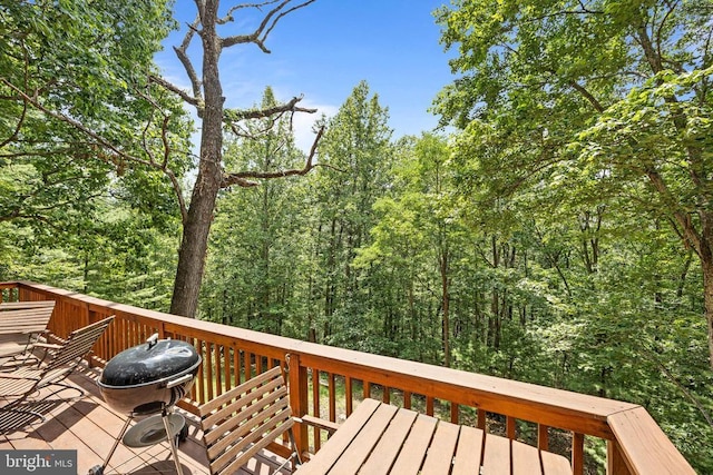 303 Jordan Hollow Rd, Stanley, VA 22851 - photo 66