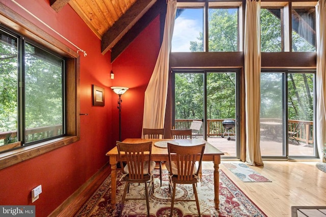 303 Jordan Hollow Rd, Stanley, VA 22851 - photo 22