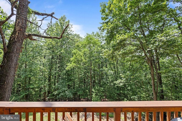 303 Jordan Hollow Rd, Stanley, VA 22851 - photo 65