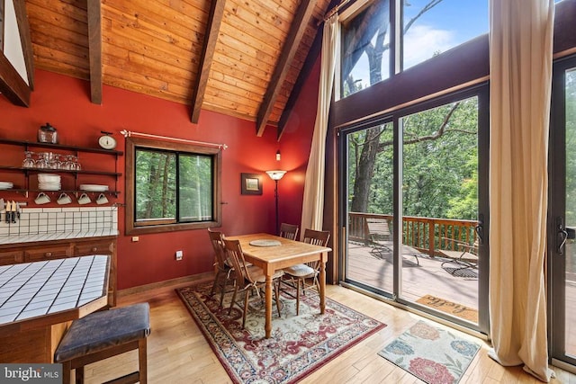 303 Jordan Hollow Rd, Stanley, VA 22851 - photo 21