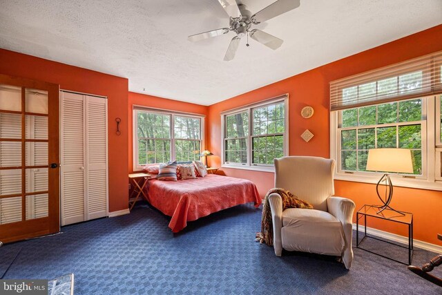 303 Jordan Hollow Rd, Stanley, VA 22851 - photo 40