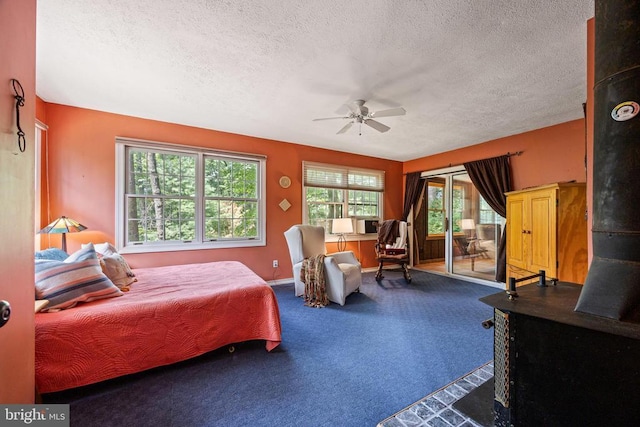 303 Jordan Hollow Rd, Stanley, VA 22851 - photo 39