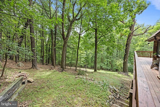 303 Jordan Hollow Rd, Stanley, VA 22851 - photo 74