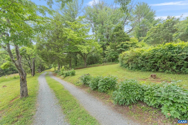 2523 Stony Point Rd, Charlottesville, VA 22911 - view of road featuring a view of trees
