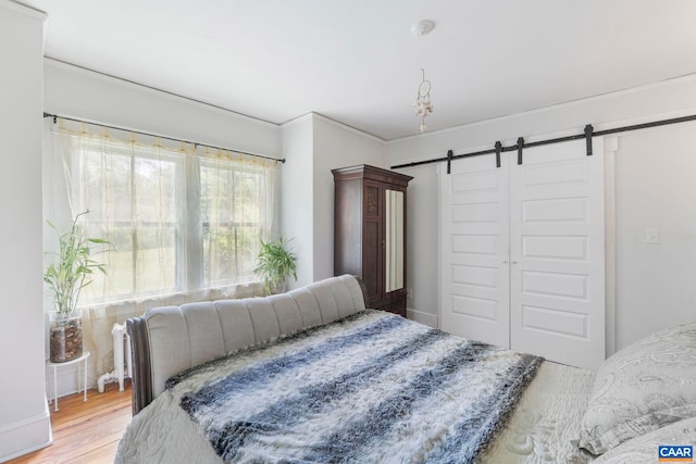 2523 Stony Point Rd, Charlottesville, VA 22911 - bedroom featuring a barn door and wood finished floors