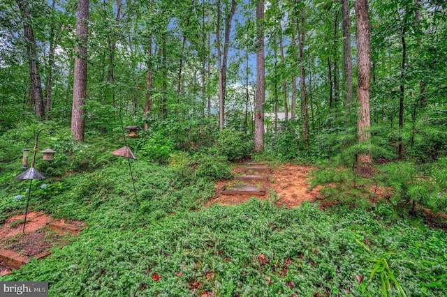 215 Mt Pleasant Dr, Locust Grove, VA 22508 - view of nature