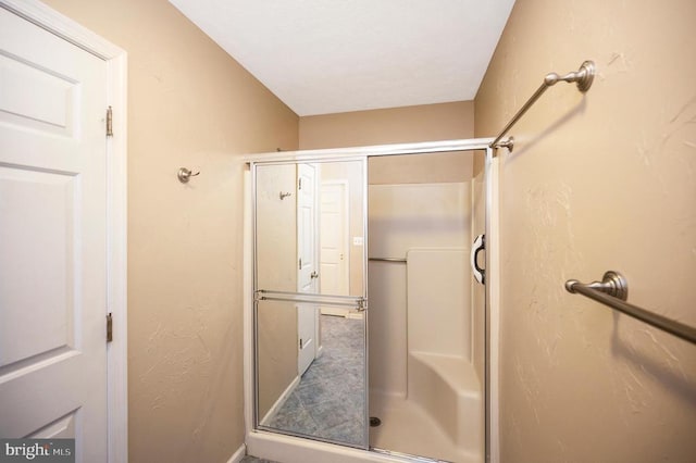 215 Mt Pleasant Dr, Locust Grove, VA 22508 - full bath featuring a shower stall