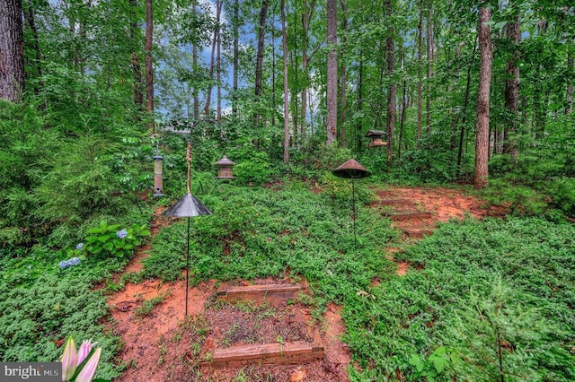 215 Mt Pleasant Dr, Locust Grove, VA 22508 - view of yard