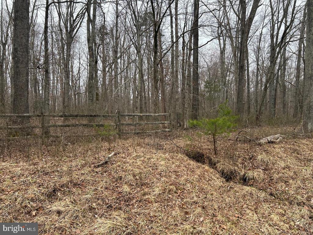 Swan Woods Rd, Rhoadesville, VA 22542