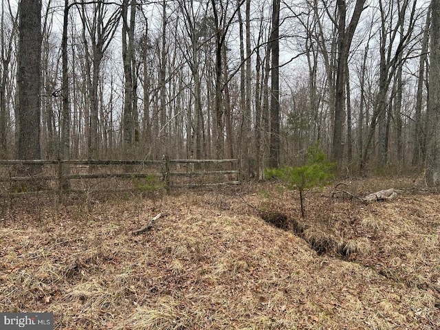 Swan Woods Rd, Rhoadesville, VA 22542