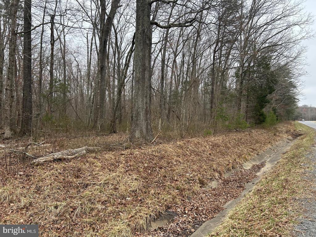 Swan Woods Rd, Rhoadesville, VA 22542