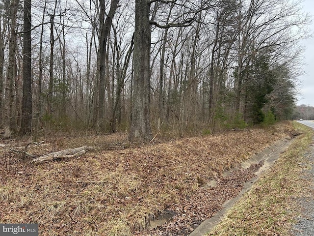 Swan Woods Rd, Rhoadesville, VA 22542