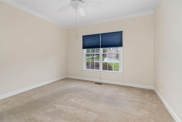 101 Jasper Ln, Waynesboro, VA 22980 - photo 14