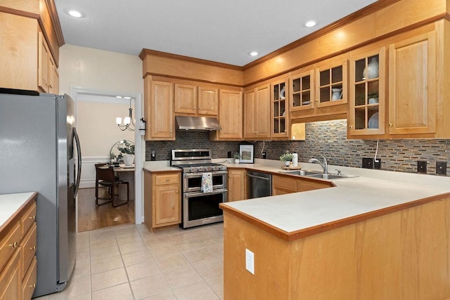 101 Jasper Ln, Waynesboro, VA 22980 - kitchen with under cabinet range hood, stainless steel appliances, a sink, tasteful backsplash, and recessed lighting