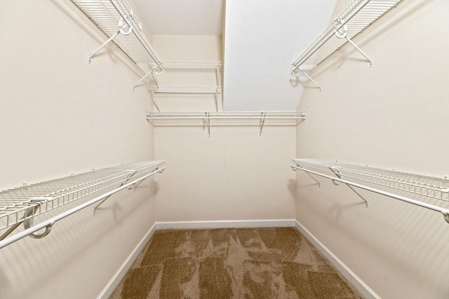 101 Jasper Ln, Waynesboro, VA 22980 - spacious closet featuring carpet