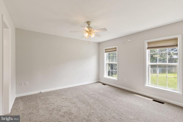 2179 Woodville Rd, Locust Grove, VA 22508 - photo 22