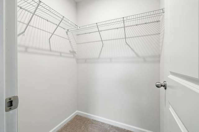 550 Grommet Dr, Rockingham, VA 22801 - photo 46