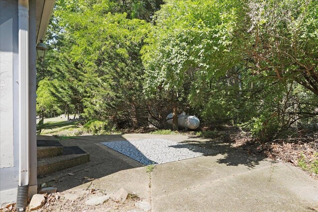 162 Hartman Ct, Mcgaheysville, VA 22840 - view of pool
