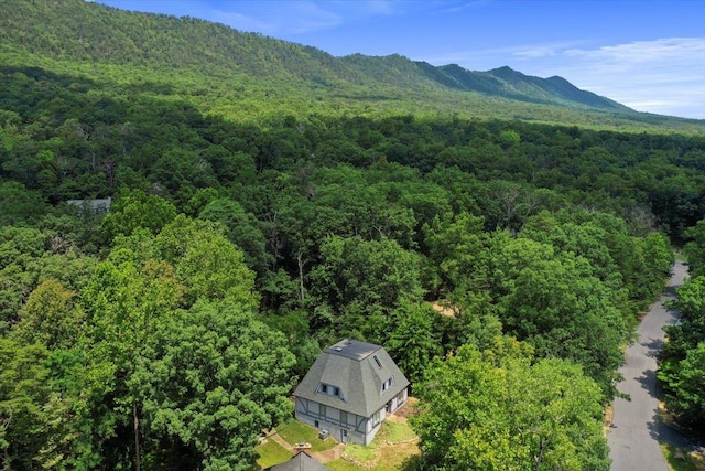 162 Hartman Ct, Mcgaheysville, VA 22840 - view of mountain backdrop featuring a heavily wooded area