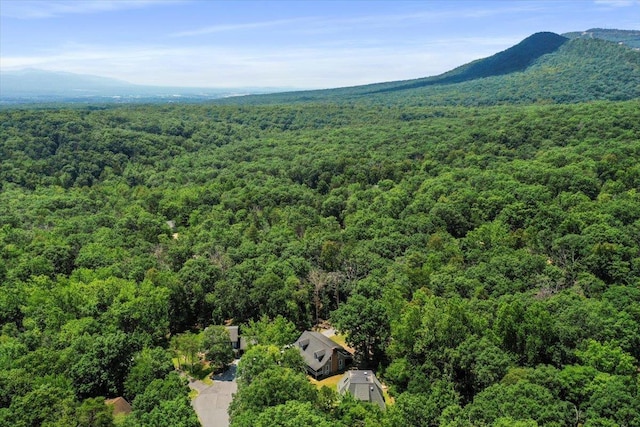162 Hartman Ct, Mcgaheysville, VA 22840 - bird's eye view of a forest and a mountain backdrop