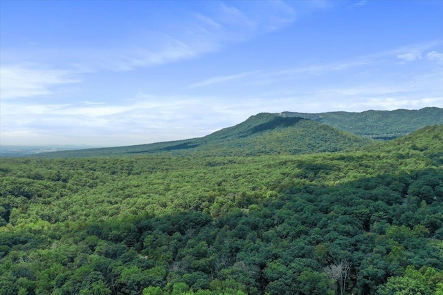 162 Hartman Ct, Mcgaheysville, VA 22840 - view of mountain backdrop featuring a heavily wooded area