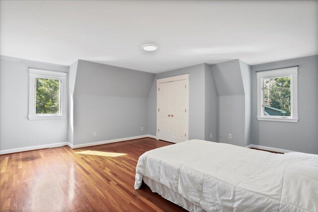 162 Hartman Ct, Mcgaheysville, VA 22840 - bedroom with multiple windows, wood finished floors, and vaulted ceiling