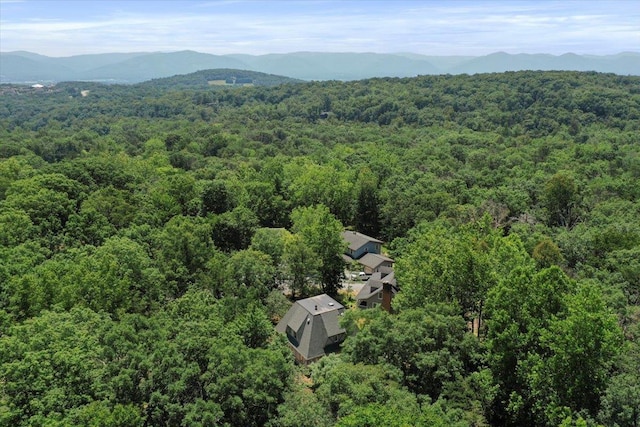 162 Hartman Ct, Mcgaheysville, VA 22840 - aerial view of a heavily wooded area