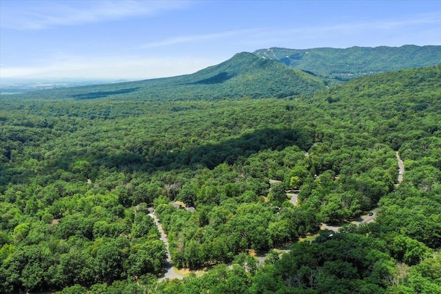 162 Hartman Ct, Mcgaheysville, VA 22840 - view of mountain backdrop with a forest