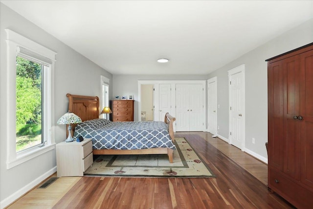 162 Hartman Ct, Mcgaheysville, VA 22840 - bedroom featuring wood finished floors and two closets