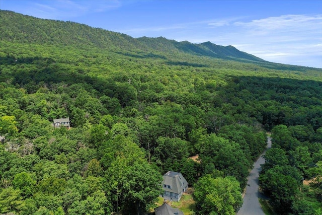 162 Hartman Ct, Mcgaheysville, VA 22840 - view of mountain background featuring a forest