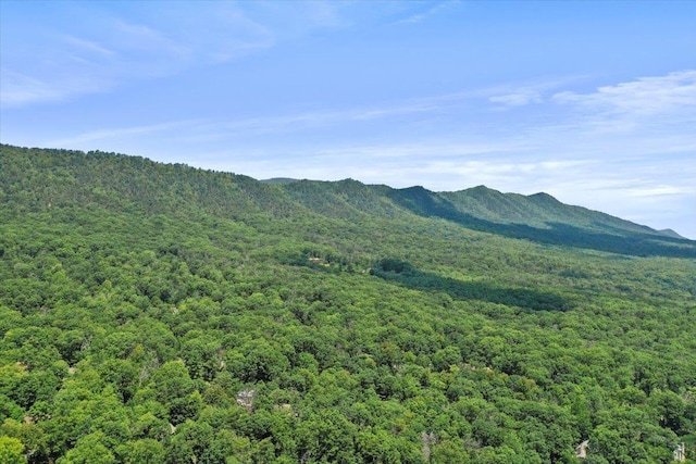 162 Hartman Ct, Mcgaheysville, VA 22840 - mountain view featuring a forest