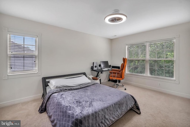 243 Carriage Chase Cir, Warrenton, VA 20186 - photo 38