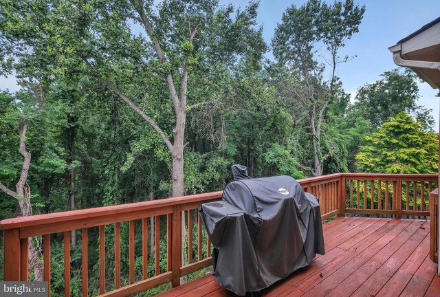 243 Carriage Chase Cir, Warrenton, VA 20186 - photo 20