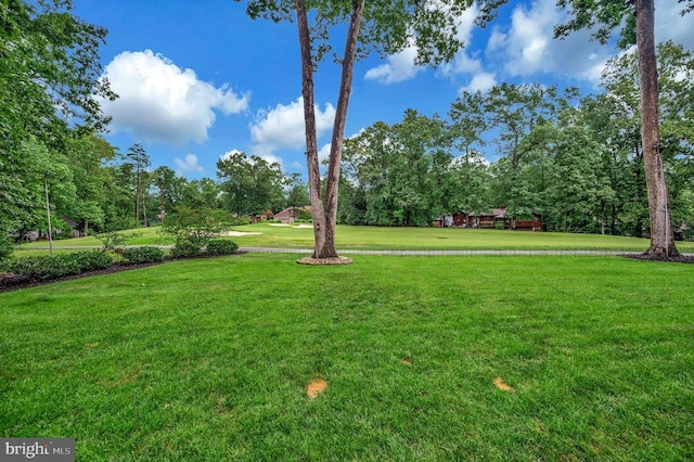 105 Marble Ct, Locust Grove, VA 22508 - photo 53