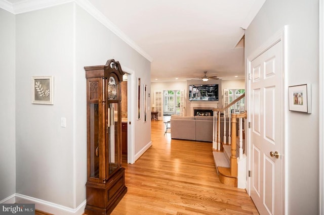 105 Marble Ct, Locust Grove, VA 22508 - photo 9