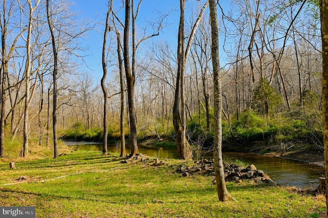 3336 Slate Mills Rd, Sperryville, VA 22740 - photo 27