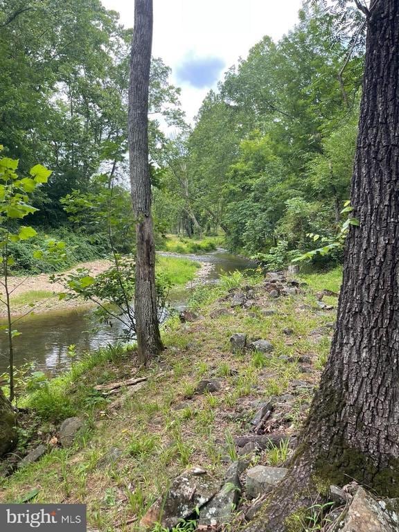 3336 Slate Mills Rd, Sperryville, VA 22740 - photo 15