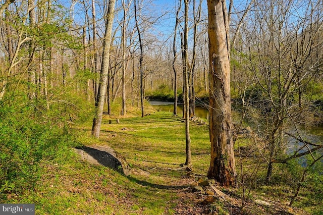 3336 Slate Mills Rd, Sperryville, VA 22740 - photo 26