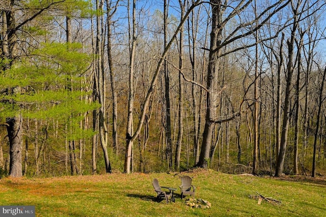 3336 Slate Mills Rd, Sperryville, VA 22740 - photo 19